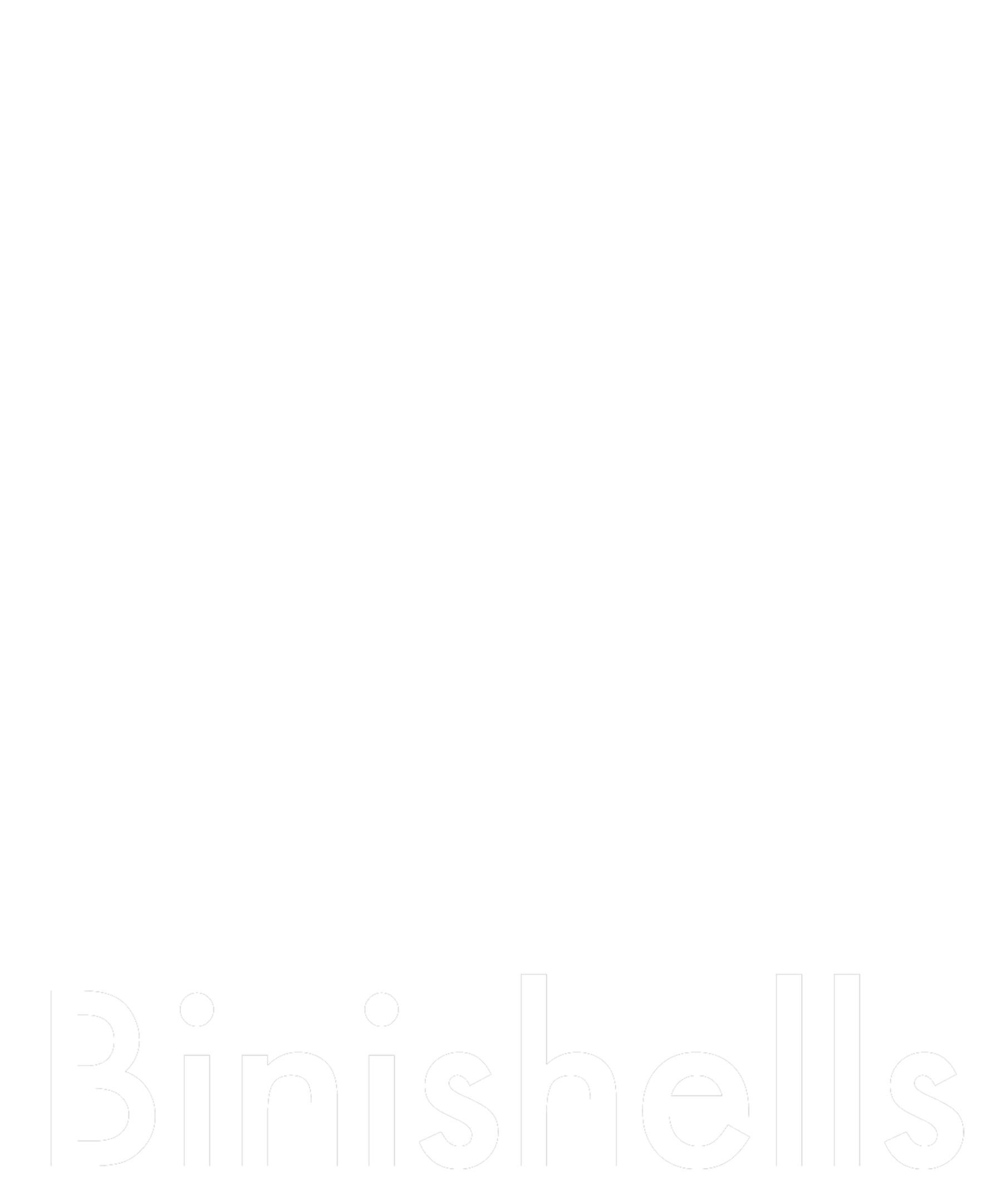 introduction-binishells